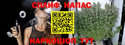 спиды Краснознаменск