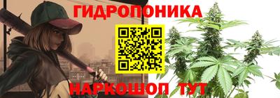 спиды Краснознаменск