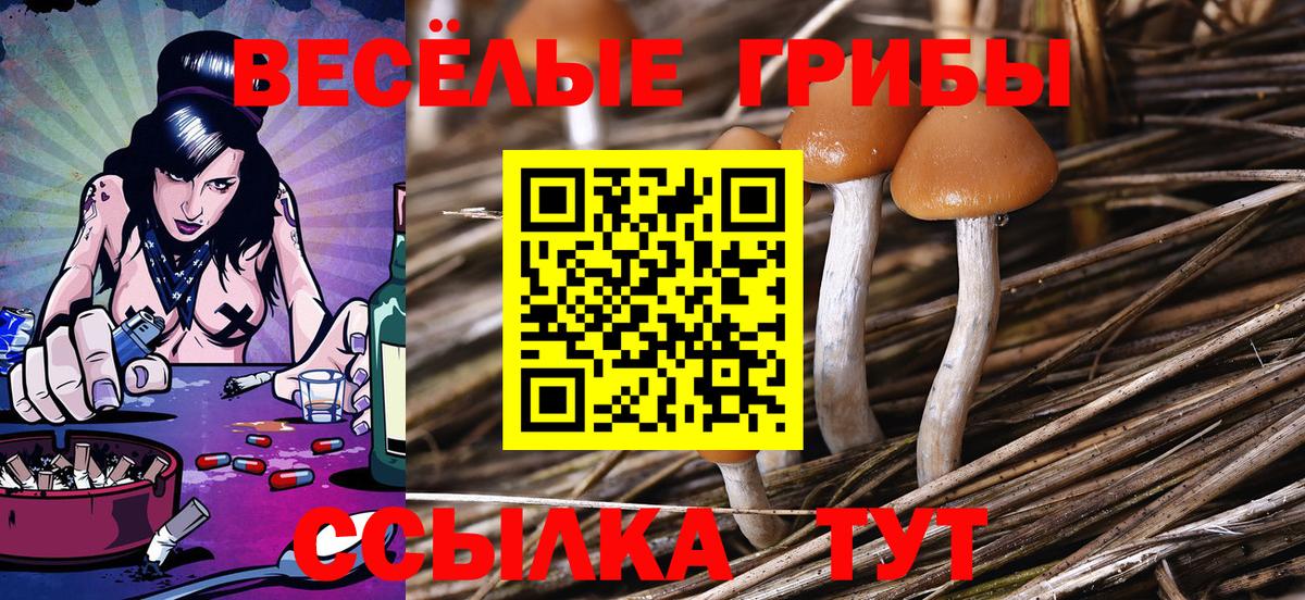 Псилоцибиновые грибы ЛСД Казань
