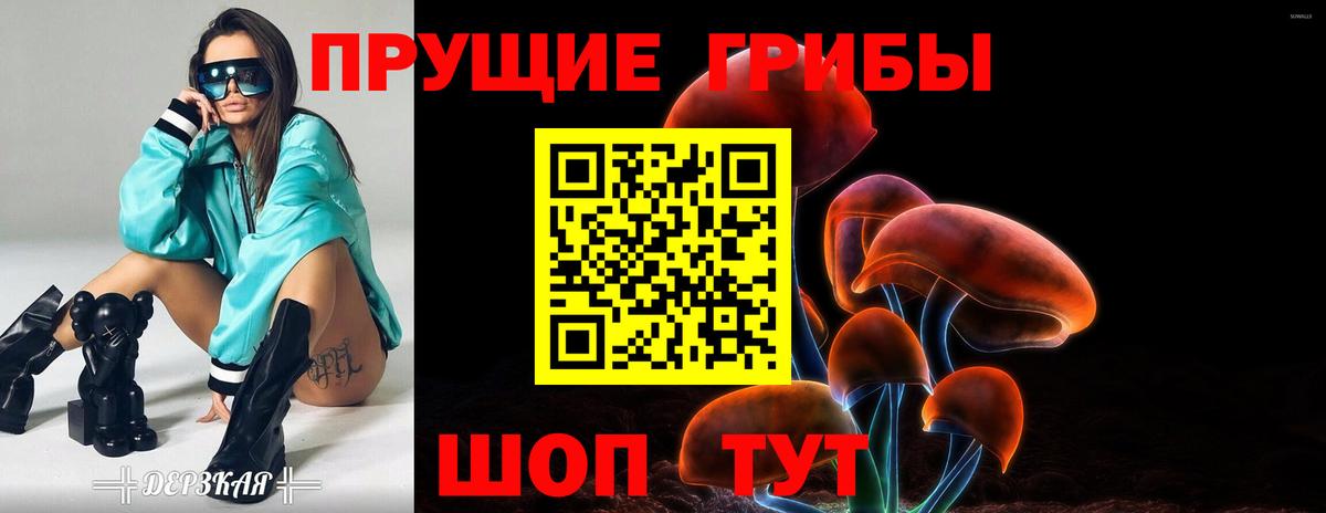 Казань  Псилоцибиновые грибы Psilocybine cubensis  Псилоцибиновые грибы GOLDEN TEACHER  Вход с VPN 